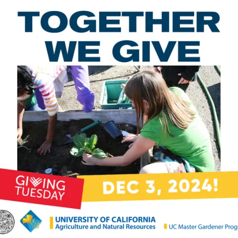 Giving Tuesday is tomorrow, will you join us?