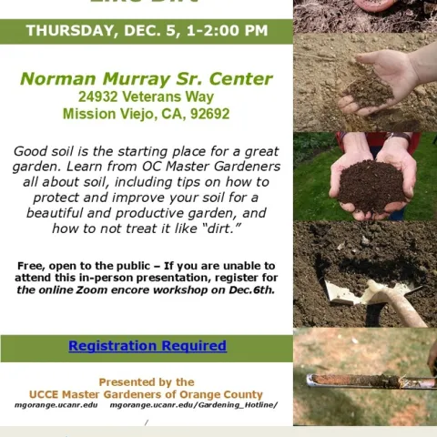 Don’t Treat Your Soil Like Dirt