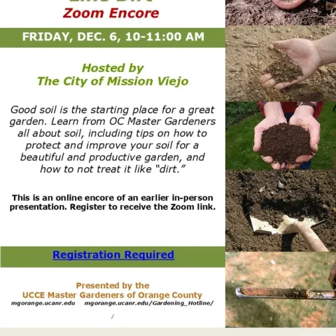 Zoom Encore: Transform Your Soil for Garden Greatness!