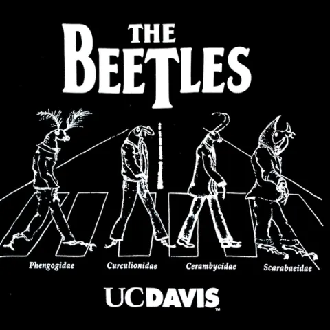 This is one of the UC Davis Entomology Graduate Student Association's best selling T-shirt, and it's popular across the pond, too.