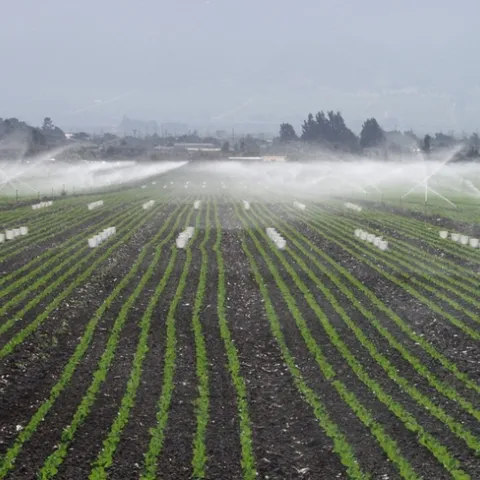 Evaluating the uniformity of an irrigation system can determine if water is being applied efficiently