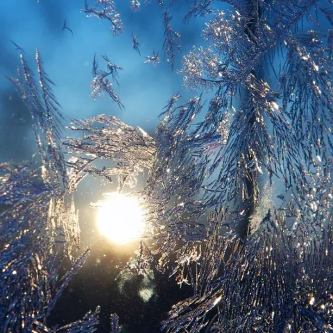 Frost Work by DrTH80 is licensed under CC BY 2.0.