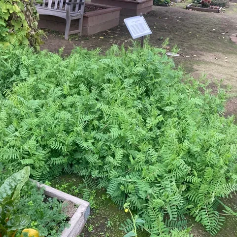 (Photo: Jeannette Warnert)