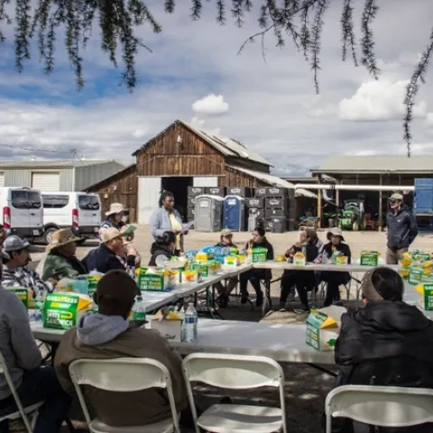 People sit outside at a circle of tables