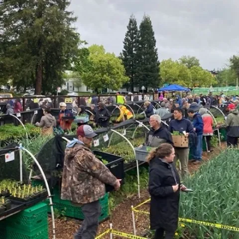 Customers load up on the offerings at Our Garden at the Walnut Creek GTPS. Photo by Greg Letts.