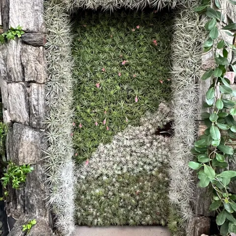 photos by Erin Mahaney