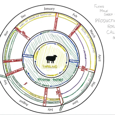 An ecological calendar combines ranch-specific ecological and climate conditions with production and economic considerations.