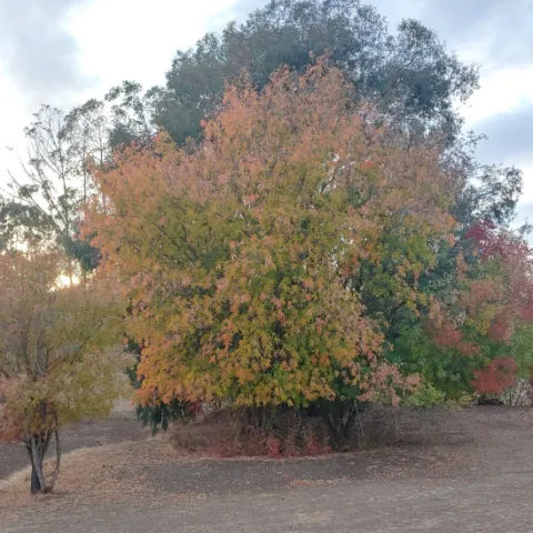 photo by Michelle Schlegel