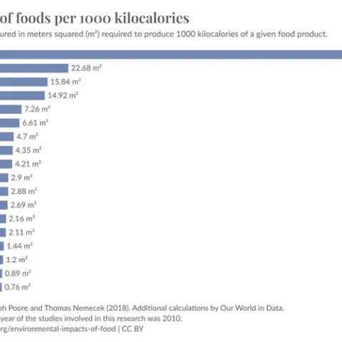 Graph listing different food types and their carbon footprint
