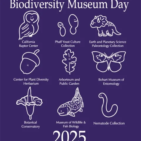 The UC Davis Biodiversity Museum Day scientists and volunteers will be wearing purple T-shirts that feature the nine museums or collections.
