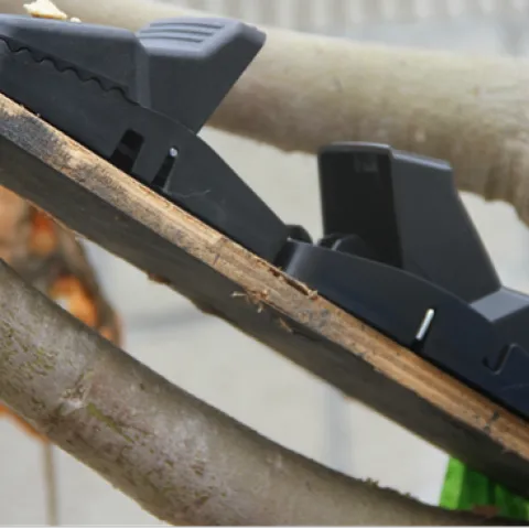 Two rat traps secured to a tree limb using a piece of wood and tape
