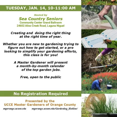 Plan Your Best Garden Yet: Join 'Busy Gardener Month to Month