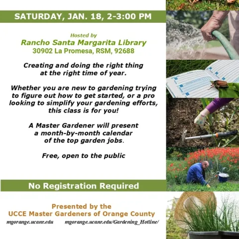 From Beginner to Pro: Your Guide to Gardening All Year