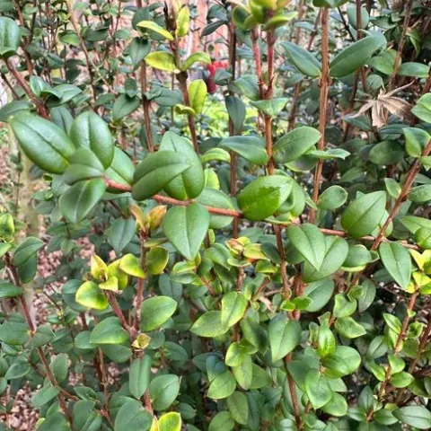 photo by Erin Mahaney