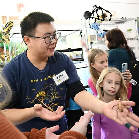 Bohart Museum associate and UC Davis entomology major Kaitai Liu delights in showing insects from the petting zoo to the crowd. (Photo by Kathy Keatley Garvey)