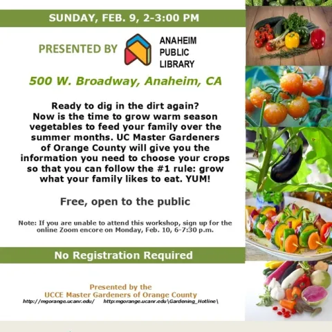 Fresh, Homegrown Veggies? Learn How to Plant Now