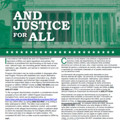 Justice for All poster