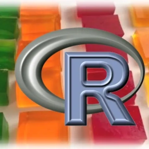 Data Wrangling with R
