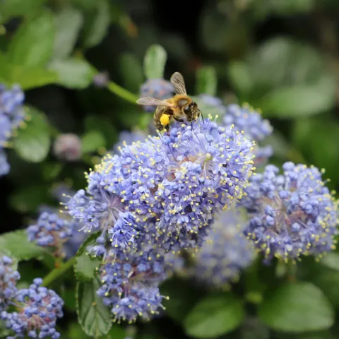 claire-sauvin-0vottOPADW8-unsplash