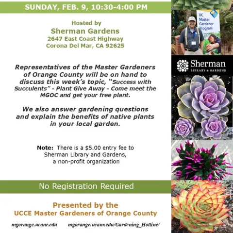 Love Gardening? Get Expert Tips & a Free Plant