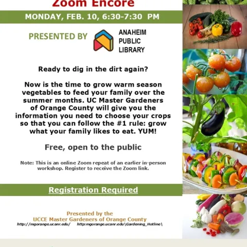 Grow What You Love! Join Our Spring Gardening Zoom Event