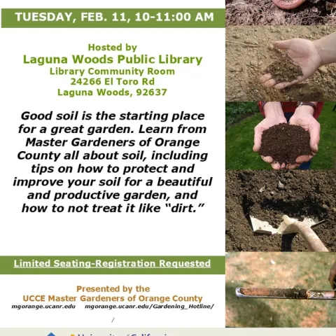 Dirt vs. Soil: Get the Facts from Master Gardeners