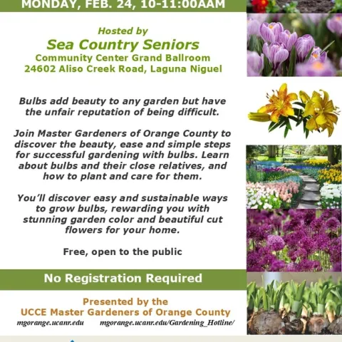 Unlock the Secret to Beautiful Bulbs—Join Us for This Event