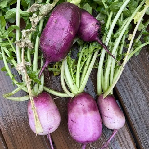 photos by Erin Mahaney