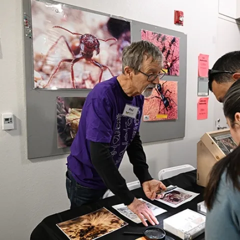 Professor Phil Ward, an ant specialist with the UC Davis Department of Entomology, responds to a question below a sign that reads "We have the Antswers." (Photo by Kathy Keatley Garvey)