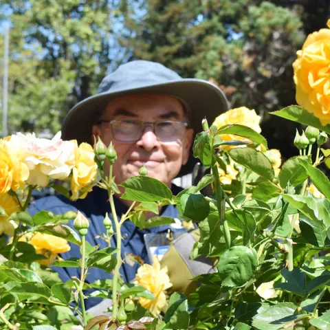 Anytime Bob's in the garden is a good time to chat about roses.
