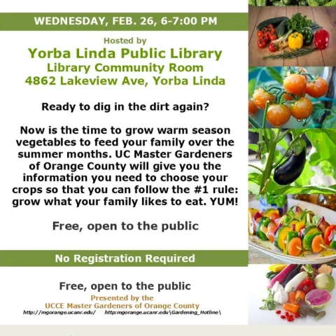 Ready to Dig In? Grow Delicious Summer Veggies Now