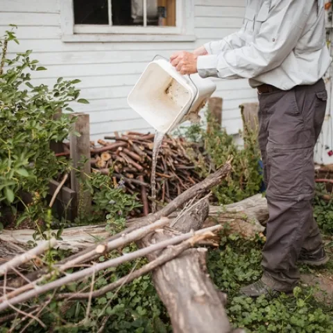 Person dumping a white bucket of water outside.