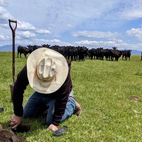 Un ganadero revisando el suelo de sus terrenos.