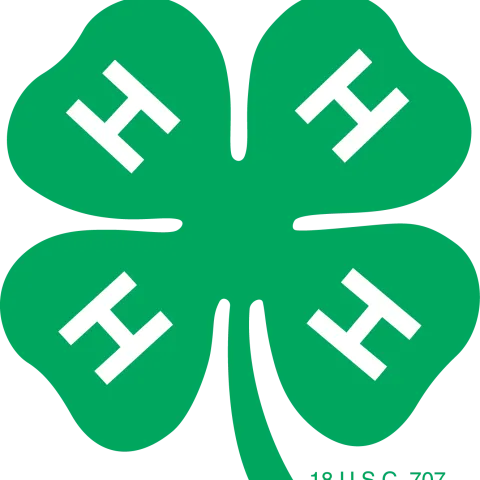 Green four leaf clover with white H's