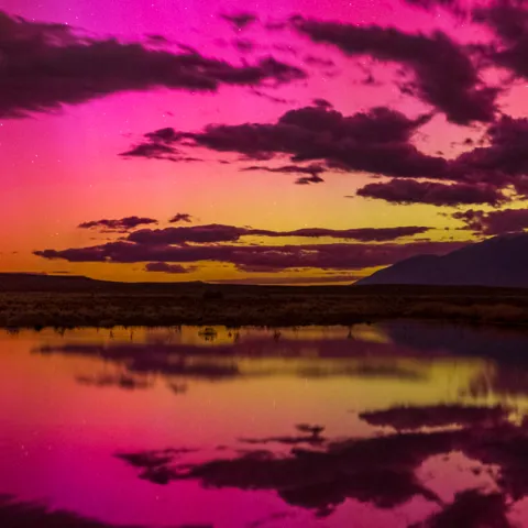 Aurora Borealis reflecting on a pond.