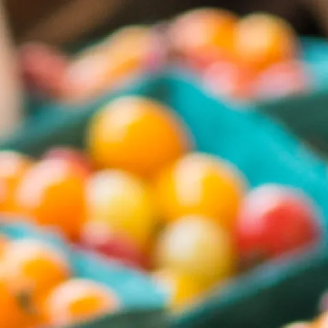 Banner farmer market