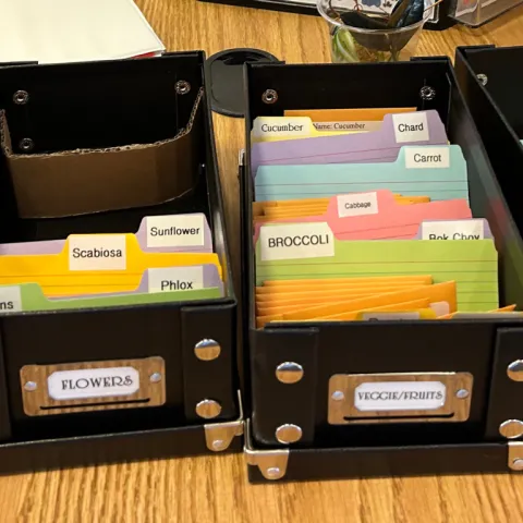 Boxes of seeds with dividers labeled for each seed typed