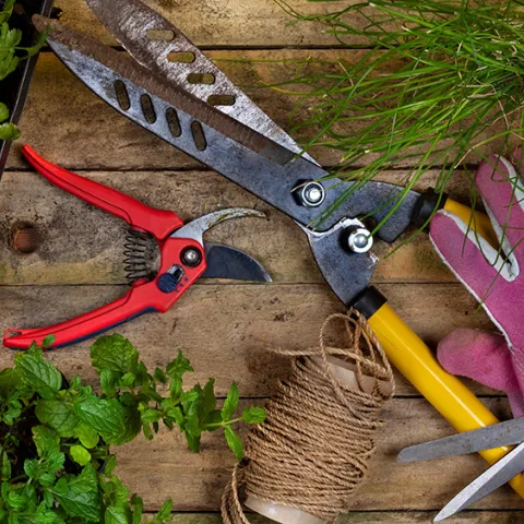 gardening tools