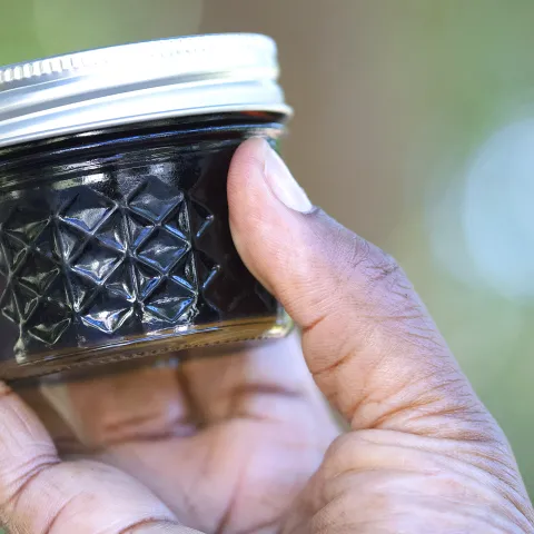 Hand holding a jar of elderberry ja