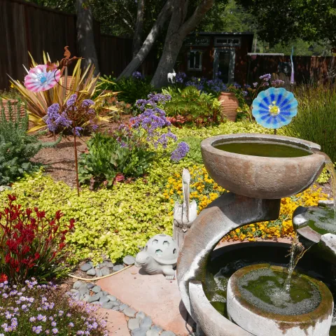 A garden with a fountain in the foreground and a variety of plants behind