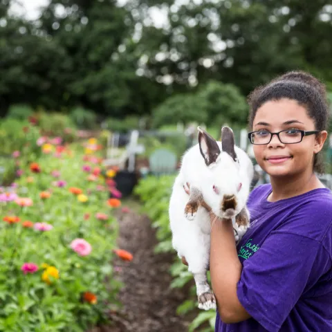 Girl holding rabbit in a field of flowers
