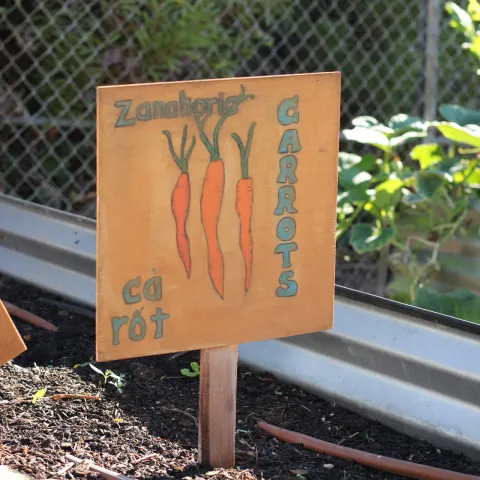 Wooden carrot plant sign in garden bed