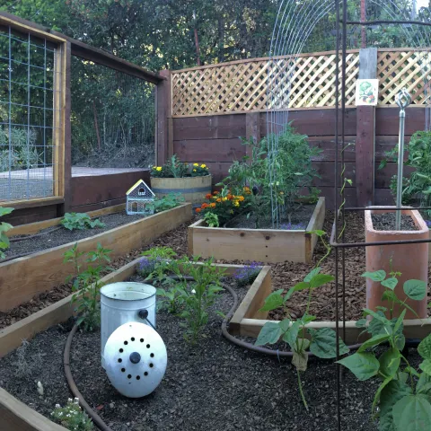 panoramic view of a newly planted vegetable garden