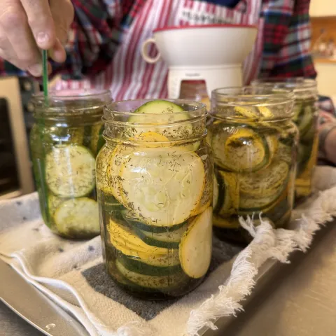 Jars of pickled zucchini