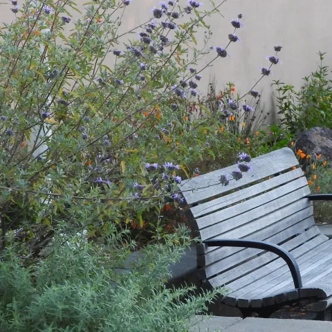 garden benches