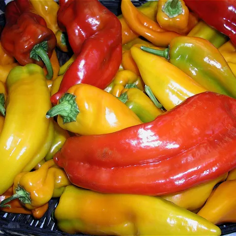 Pile of long red and yellow peppers