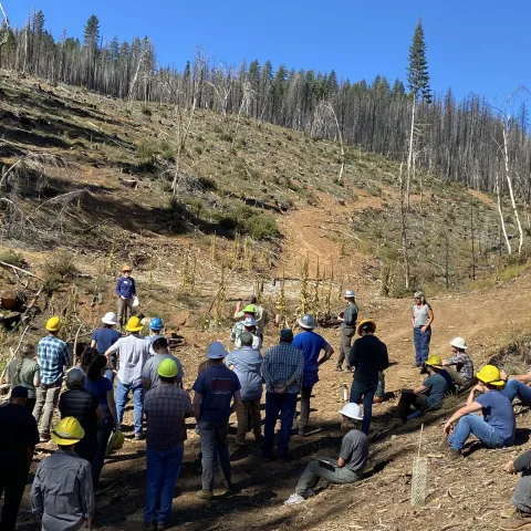 Post-fire field tour