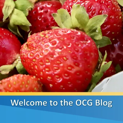 Welcome to the OCG Blog
