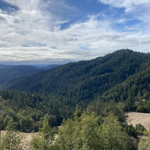 vista with redwood and Douglas-for forests