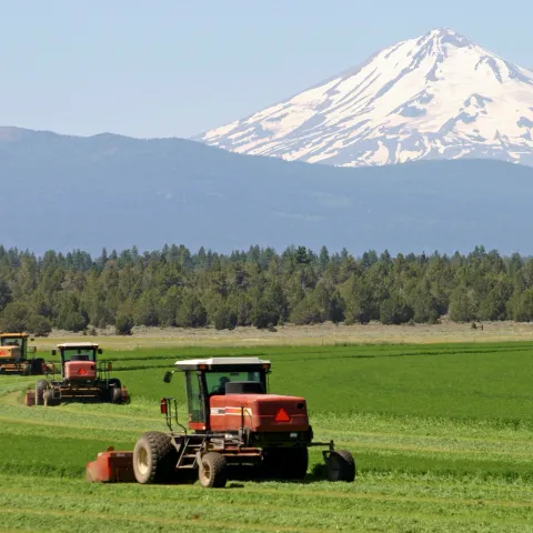 Agriculture in Siskiyou County